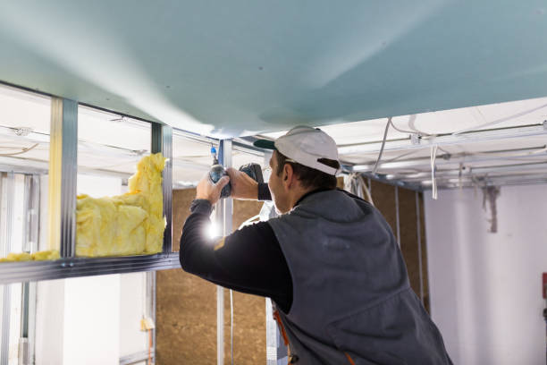 Best Commercial Insulation Contractor  in West Pelzer, SC