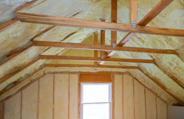 Best Attic Insulation Installation  in West Pelzer, SC