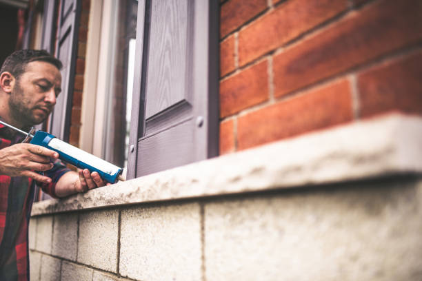 Best Insulation Removal  in West Pelzer, SC