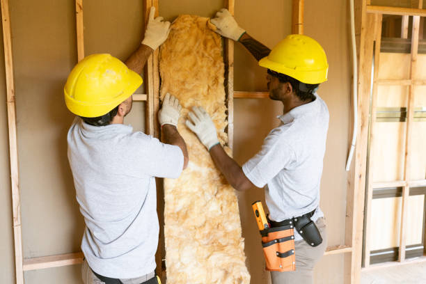 Best Soundproof Insulation Installation  in West Pelzer, SC