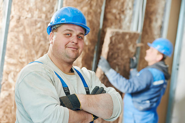 Best Cellulose Insulation  in West Pelzer, SC